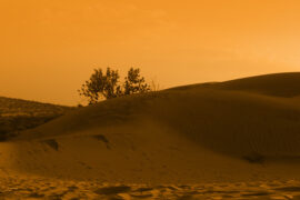 deserto