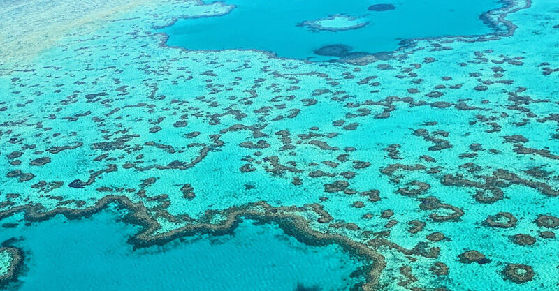 barreira-de-coral-australiana