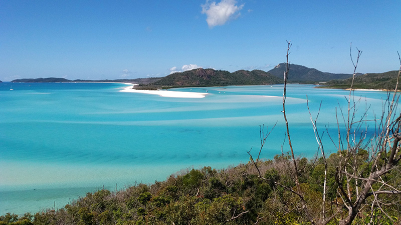 whiteheaven praia com coral australiano