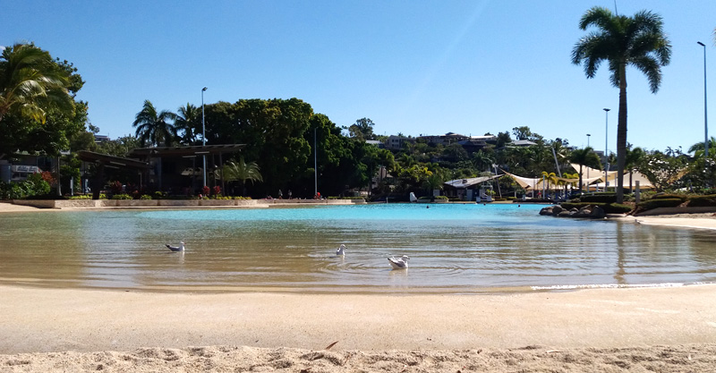 piscina airlie beach lagoon na austrália
